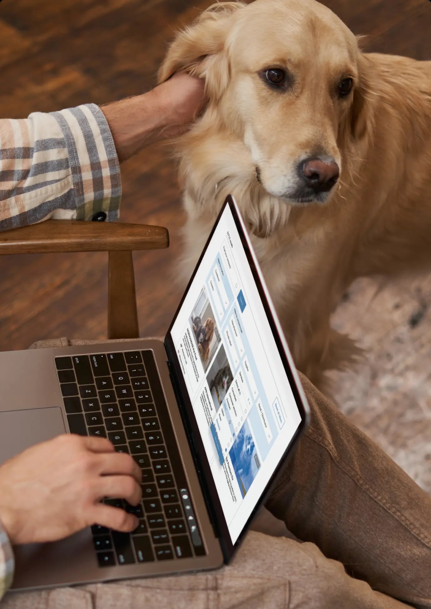 Frame 1000003520 (8)