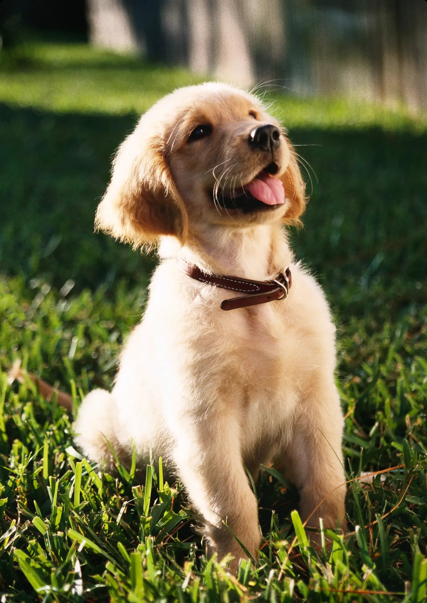 Frame 1000003521 (6)