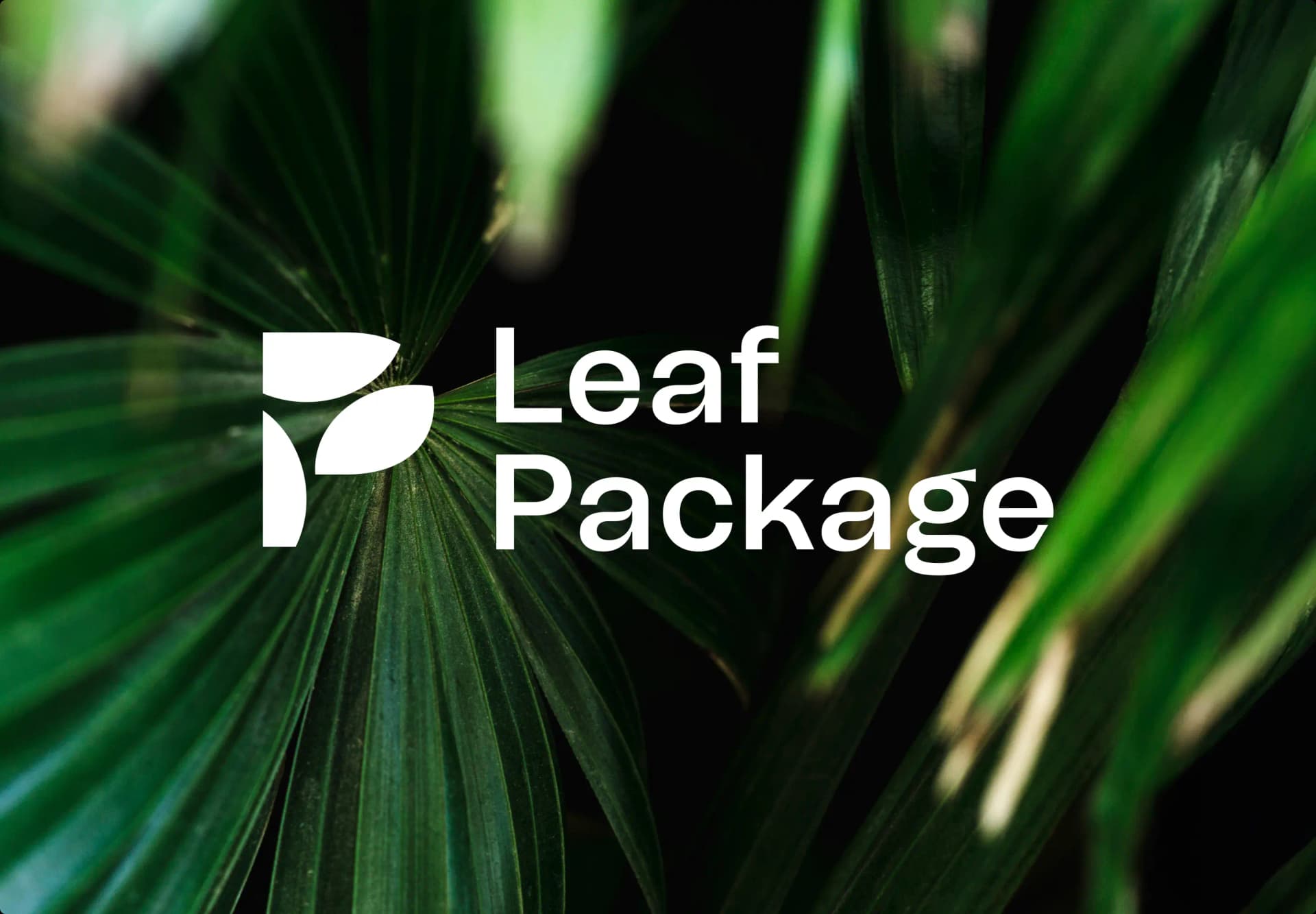 cover - 2025-11-06T095352.327